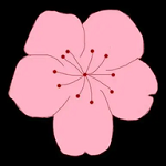 深夜直播APP应用